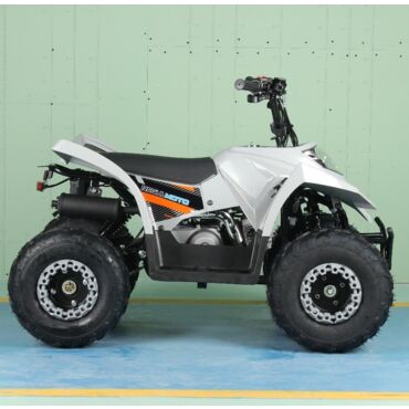 Квадроцикл Regulmoto SK11 - миниатюра 8