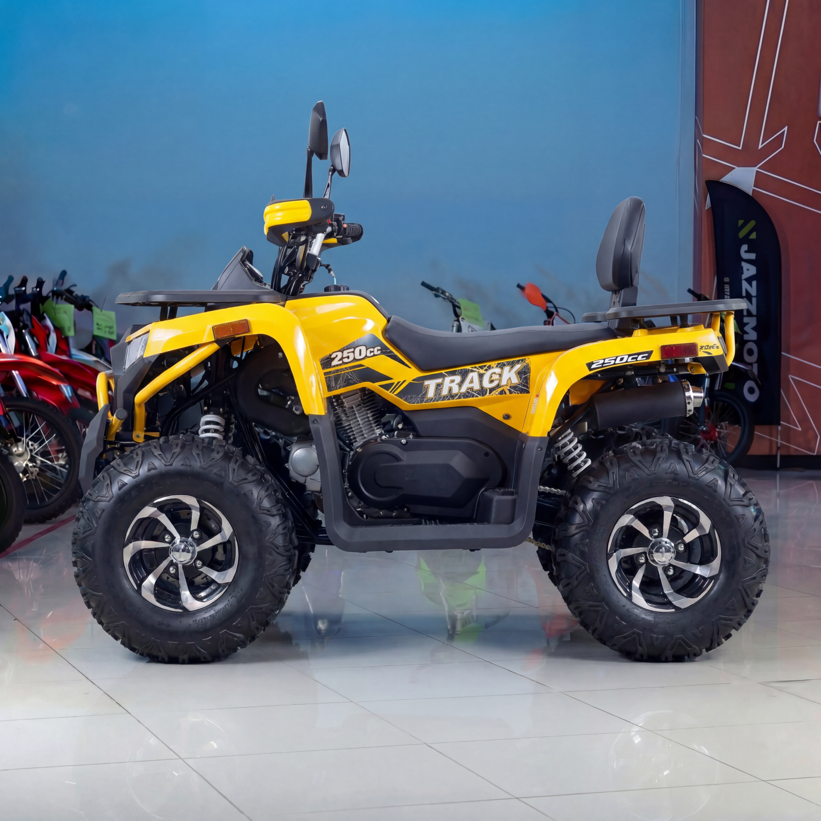 Квадроцикл (комплект запчастей для сборки) ATV VOX250 WILD TRACK X PLUS