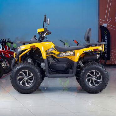 Квадроцикл (комплект запчастей для сборки) ATV VOX250 WILD TRACK X PLUS - миниатюра 1