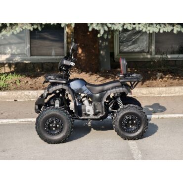 Квадроцикл Rmoto Lion 125 СС - миниатюра 41