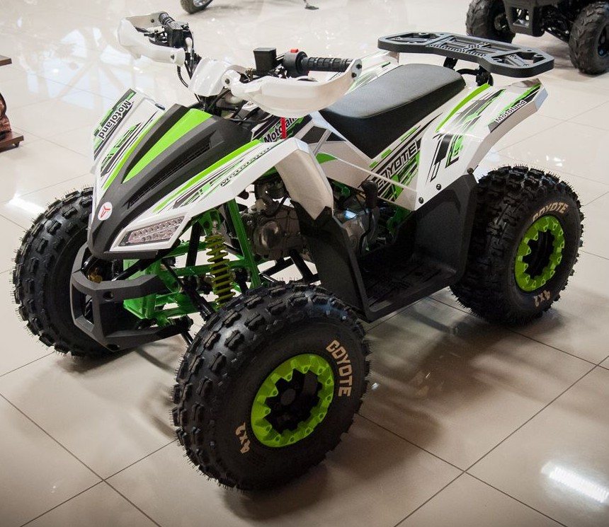 Квадроцикл Motoland VOX125 COYOTE - фото 12