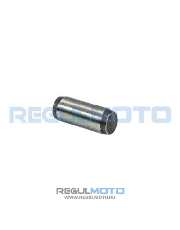 Штифт 4x10 копирного вала Raptor 250 