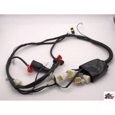 Жгут проводки Avantis Enduro EFI CS 2020-…... - миниатюра 1