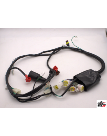 Жгут проводки Avantis Enduro EFI CS 2020-…...