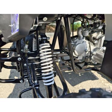 Квадроцикл Rmoto Lion 125 AА - миниатюра 19
