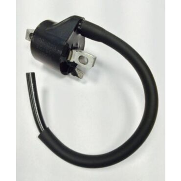 Катушка зажигания SX65 03 08 SX85 03 17 / Husqvarna TC85 14 17 OEM 46139006100 - миниатюра 1