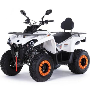 Квадроцикл бензиновый MOTAX GRIZLIK 200 ULTRA - миниатюра 7