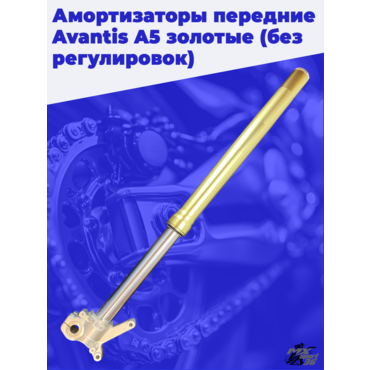 Амортизаторы передние Avantis A5 золотые (без регулировок) - миниатюра 3