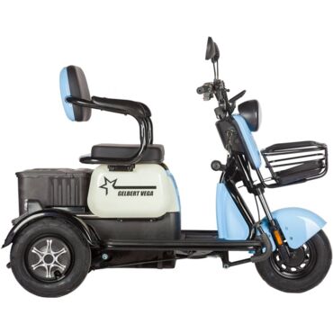 Электротрицикл Rutrike Gelbert Vega 48V 60V 600Вт - миниатюра 13
