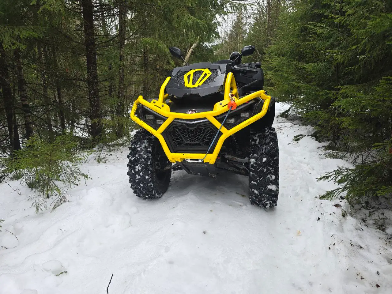Квадроцикл BRC X Terra 1000 CT - фото 20