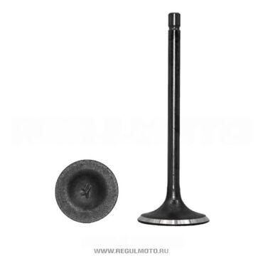 Клапаны впуск выпуск SK200 20/ SK200 6,  Raptor 250 - миниатюра 1