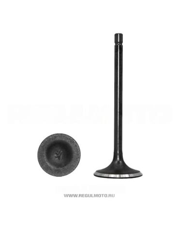 Клапаны впуск выпуск SK200 20/ SK200 6,  Raptor 250