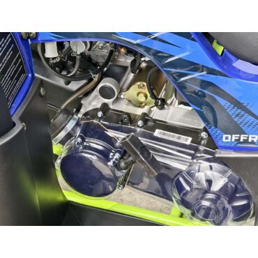 Квадроцикл Rmoto Lion 200 X PRO - миниатюра 29