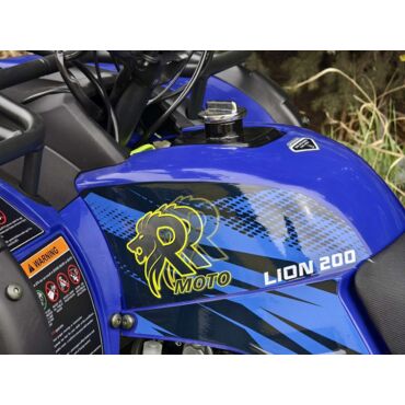 Квадроцикл Rmoto Lion 200 X PRO - миниатюра 30