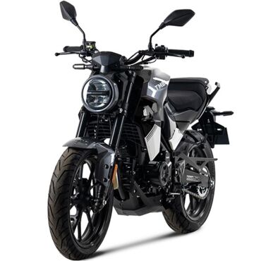 Дорожный мотоцикл TMBK  MONTANA 250 (165 FMM) - миниатюра 3