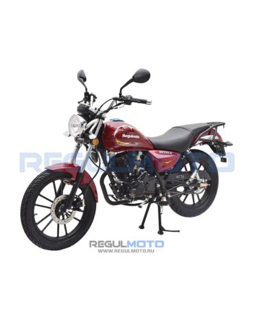 Мотоцикл Regulmoto SK200 8 с ПТС