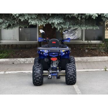 Квадроцикл Rmoto Lion 200 R - миниатюра 23