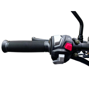 Мопед Regulmoto Alpha RM 5 125 (49) куб.см. - миниатюра 15