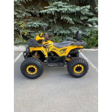 Квадроцикл Rmoto Lion 125 AR - миниатюра 10