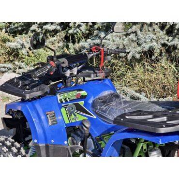 Квадроцикл Rmoto Lion 125 A - миниатюра 24