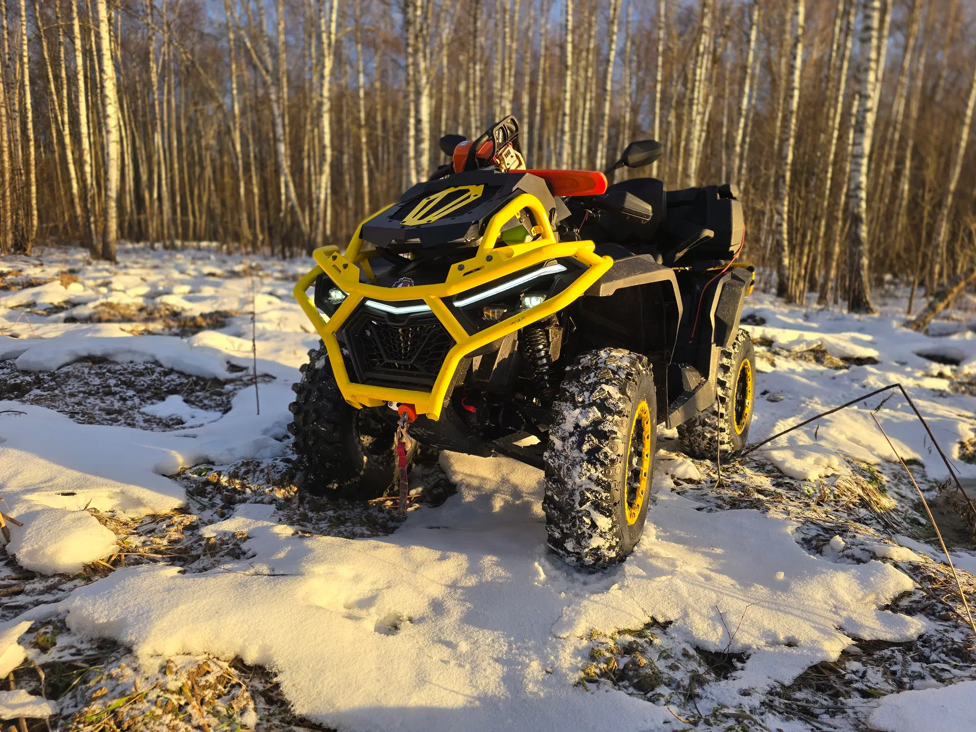 Квадроцикл BRC X Terra 1000 CT - фото 21