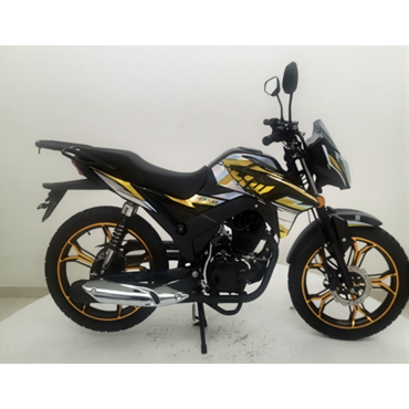Мотоцикл ROLIZ MAJOR ZS163FML 200 сс  ПТС - миниатюра 2