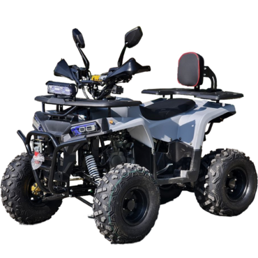 Квадроцикл Rmoto Lion 130 RR - миниатюра 19