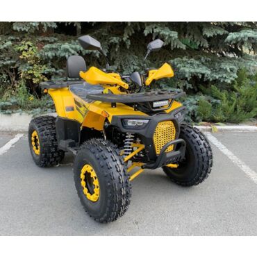 Квадроцикл Rmoto Lion 125 AR - миниатюра 12