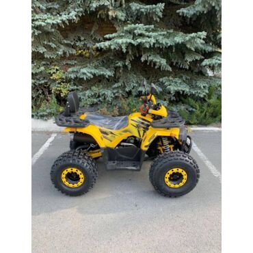 Квадроцикл Rmoto Lion 125 AR - миниатюра 13