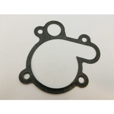 Прокладка крышки помпы TM Racing 4T 250 300Fi 10- - миниатюра 1