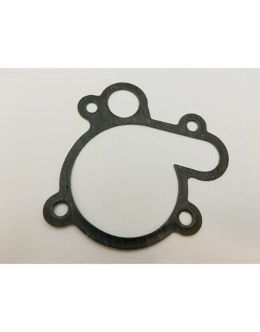 Прокладка крышки помпы TM Racing 4T 250 300Fi 10-