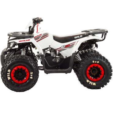 Квадроцикл Motoland WILD 125 - миниатюра 8