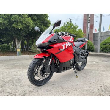 Дорожный мотоцикл TMBK Idealist 400cc - миниатюра 5