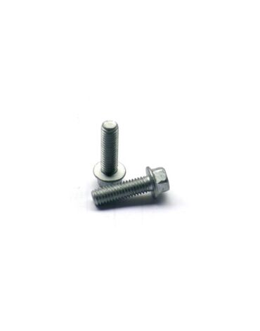 Болт М6x20 RS ws 8