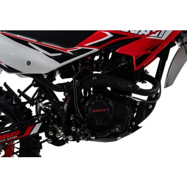 Питбайк Progasi SMART 150 MAX 19 16 - миниатюра 6